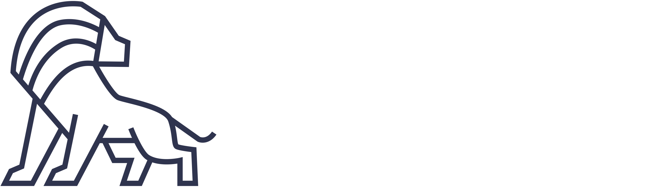 Lions Network